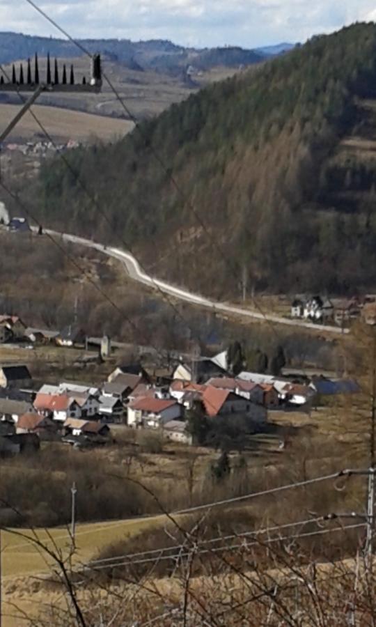 Ubytovanie Sokolica Červený Kláštor エクステリア 写真