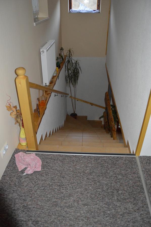 Ubytovanie Sokolica Červený Kláštor エクステリア 写真