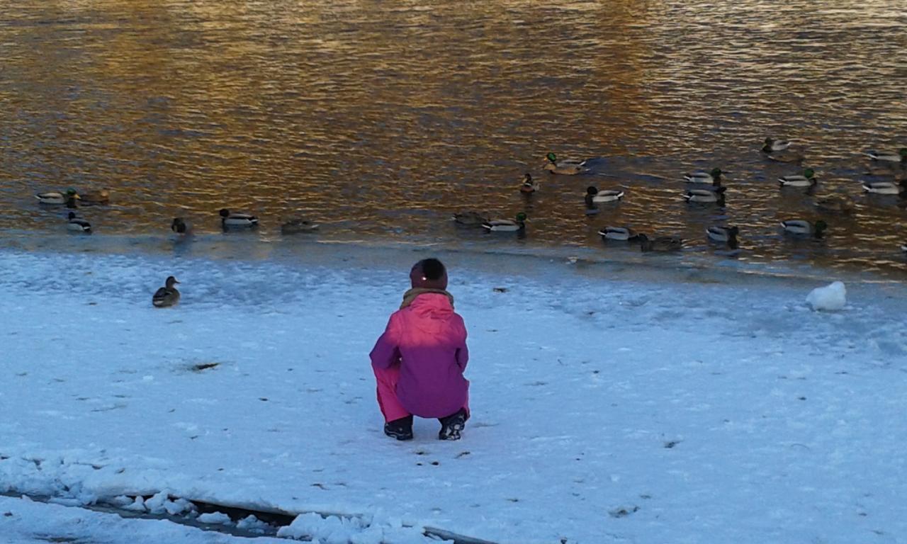 Ubytovanie Sokolica Červený Kláštor エクステリア 写真