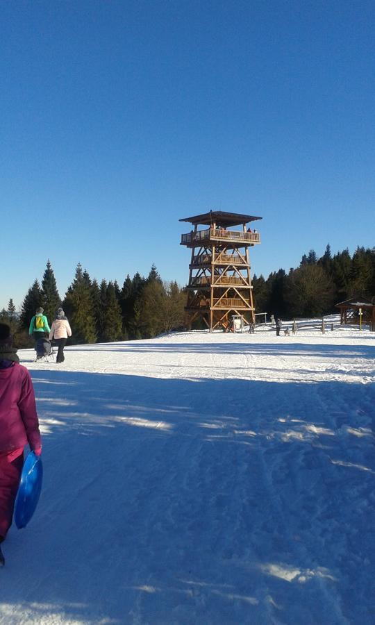 Ubytovanie Sokolica Červený Kláštor エクステリア 写真
